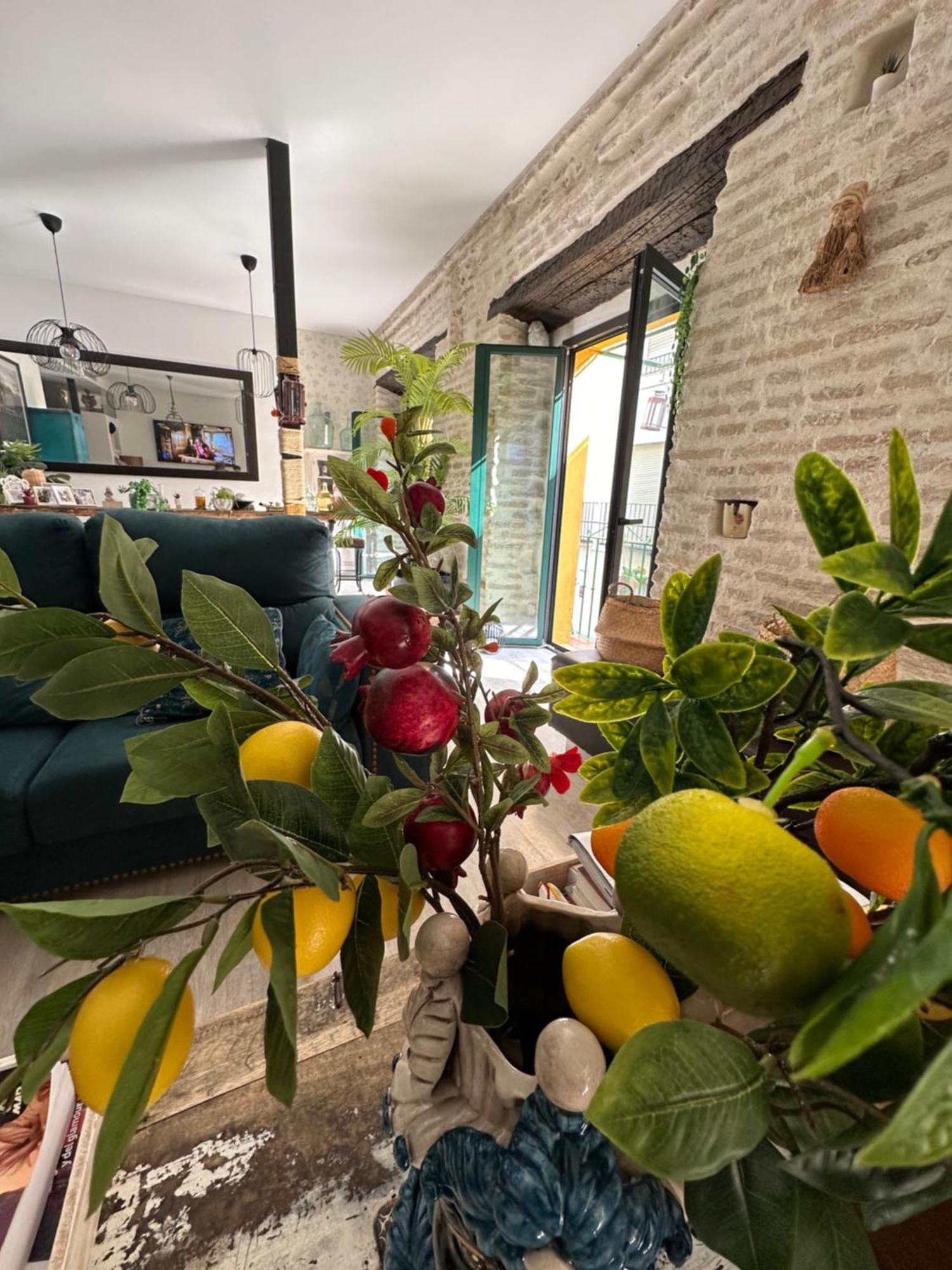 Casa Duque Compartida Familiar 1-Habitacion Con Bano Propio Sevilla Eksteriør billede