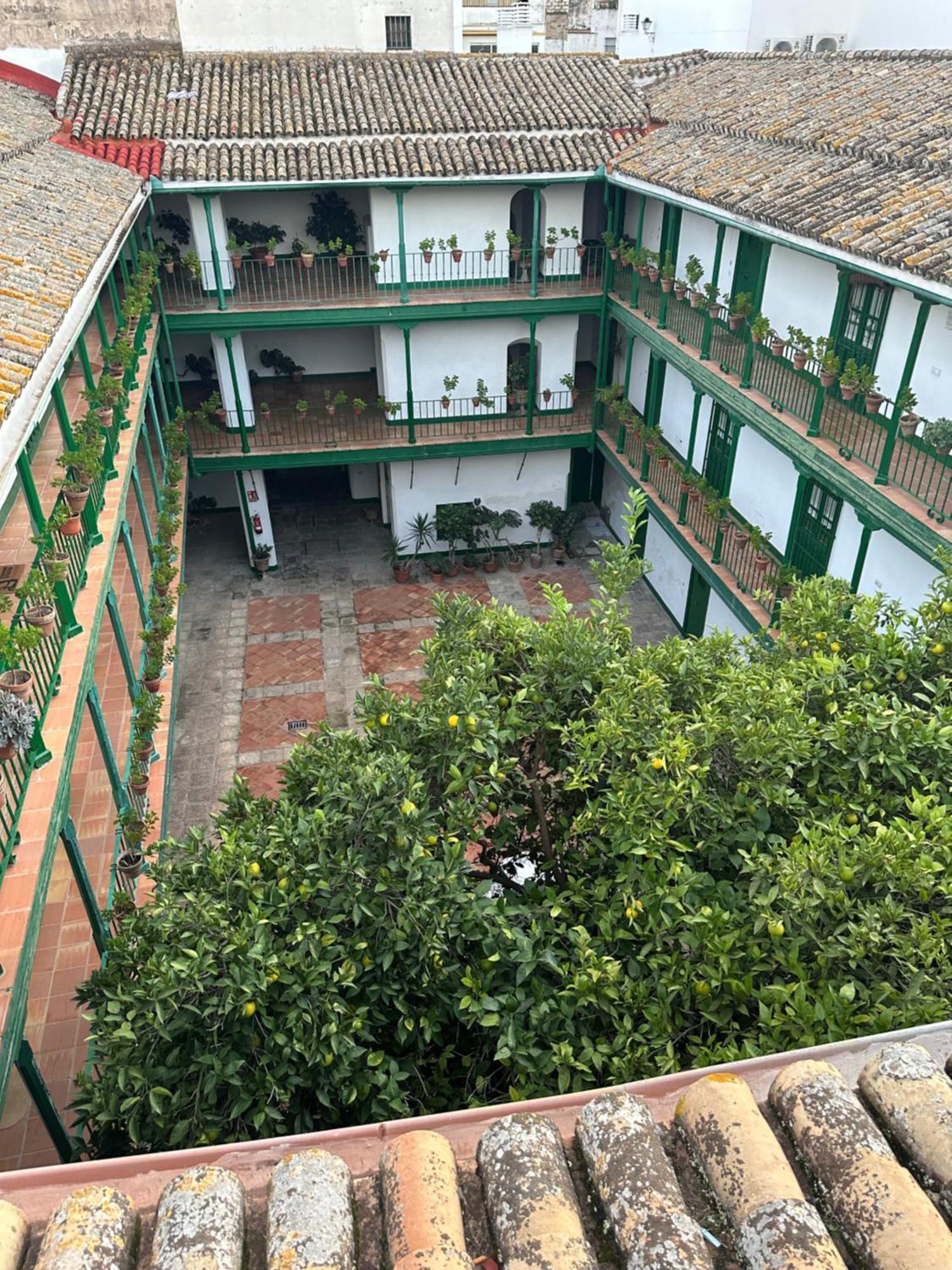 Casa Duque Compartida Familiar 1-Habitacion Con Bano Propio Sevilla Eksteriør billede